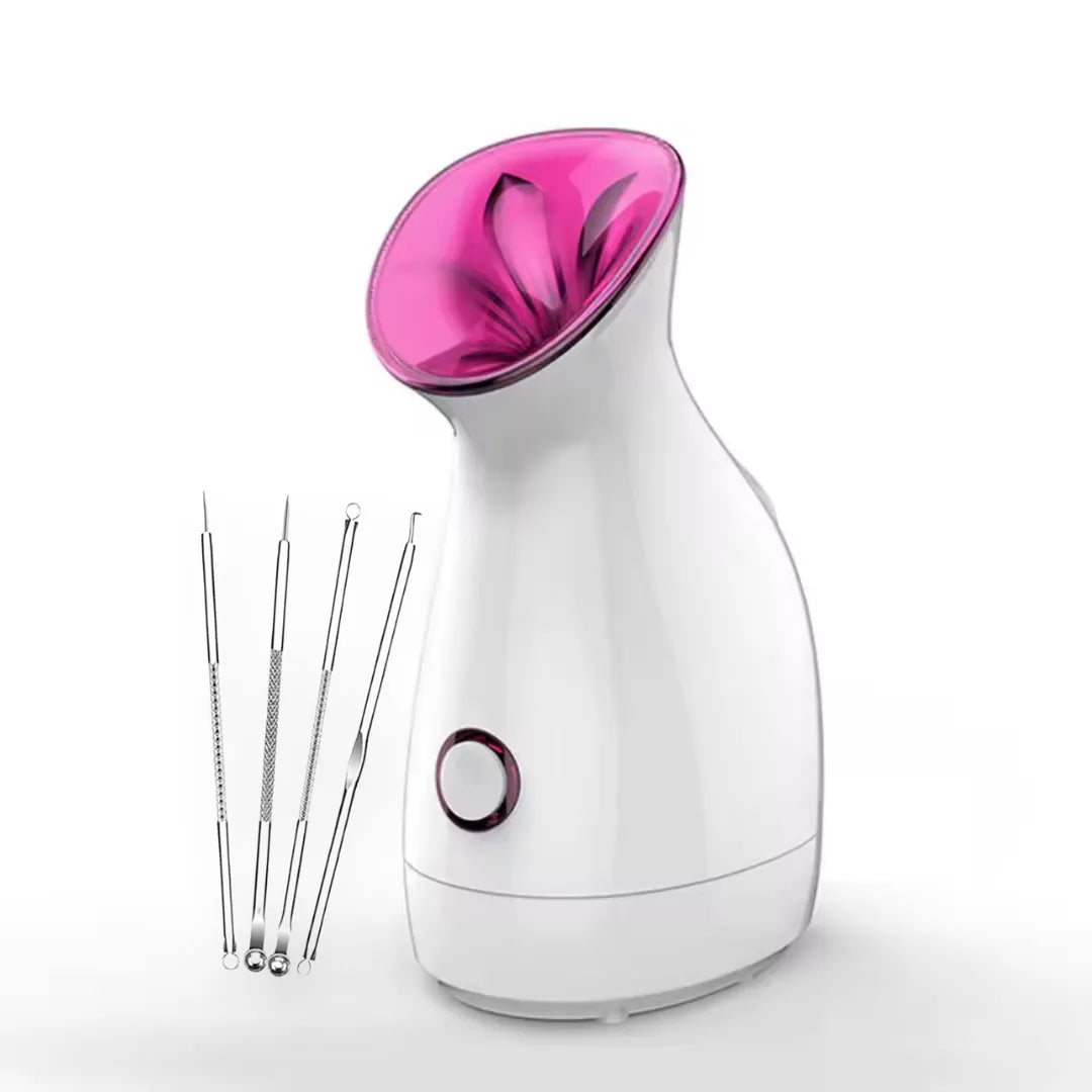 DermaSteam Nano