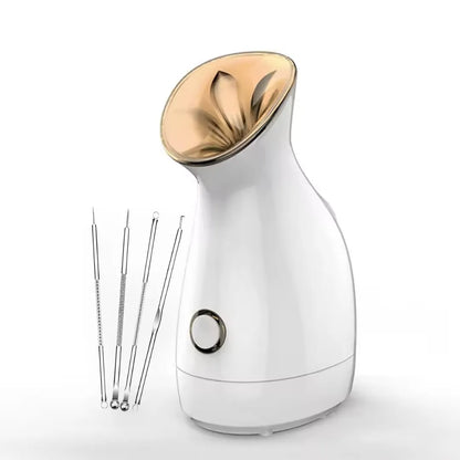 DermaSteam Nano